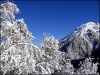 Chamrousse 10 decembre 2006