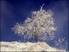 Chamrousse 22 novembre 2006