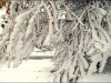 chamrousse-13-novembre-2008.jpg