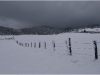 Chartreuse - Col de Porte - 10 janvier 2008