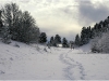 Lans en Vercors - Première rando à ski - 8 novembre 2009