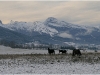 Vercors - 8 novembre 2010