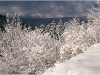 Lans en Vercors - 2 janvier 2010