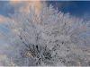 Lans en Vercors - 3 janvier 2011