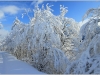 Hauteurs de Lans en Vercors - 21 janvier 2012