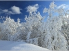 Hauteurs de Lans en Vercors - 21 janvier 2012