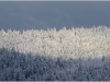 Vercors - 17 avril 2012