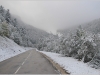 Neige précoce en Vercors - 11 octobre 2013