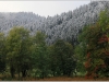 Neige précoce en Vercors - 11 octobre 2013