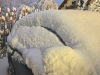 Lans en Vercors, 2 et 3 décembre 2023