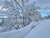 Lans-en-Vercors-11-decembre-2024-1