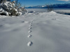 Lans-en-Vercors-11-decembre-2024-12