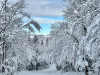 Lans-en-Vercors-11-decembre-2024-3