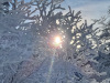 Lans-en-Vercors-11-decembre-2024-7