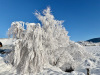 Lans-en-Vercors-12-decembre-2024-2