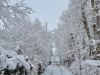 Lans-en-Vercors-15-mars-2025-1