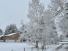 Lans-en-Vercors-15-mars-2025-2