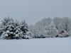 Lans-en-Vercors-15-mars-2025-6