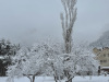 Lans-en-Vercors-15-mars-2025-7