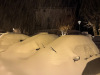 Lans-en-Vercors-22-decembre-202413