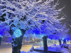 Lans-en-Vercors-22-decembre-20244