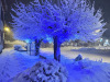 Lans-en-Vercors-22-decembre-20245