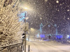 Lans-en-Vercors-22-decembre-20248