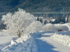 Lans-en-Vercors-26-decembre-2024-10