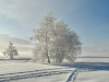Lans-en-Vercors-26-decembre-2024-2