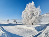 Lans-en-Vercors-26-decembre-2024-4