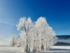 Lans-en-Vercors-26-decembre-2024-5
