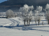 Lans-en-Vercors-26-decembre-2024-7