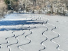 Lans-en-Vercors-30-decembre-2024-1
