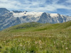 Plateau-dEmparis-La-Meije-4-aout-2024-3