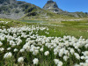 Plateau-et-Lac-des-Cerces-10-aout-2024-11