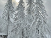 Tignes-28-janvier-2025-3