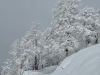 Tignes-28-janvier-2025-4