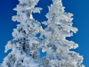 Villard-de-Lans-24-decembre-2024-2