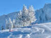 Villard-de-Lans-24-decembre-2024-5