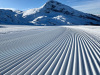 Villard-de-Lans-26-janvier-2025-5