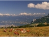 Belledonne depuis le Vercors - 19 juillet 2009