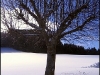 Vercors - 3 janvier 2007