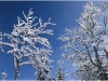 Autrans - Vercors - 10 janvier 2011