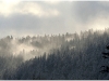 Lans en Vercors - 2 janvier 2010