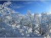 Lans en Vercors - 28 janvier 2012