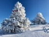 Lans en Vercors - 3 décembre 2017