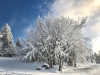 Lans en Vercors - 3 décembre 2017