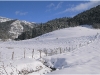 Lans en Vercors - le 30 janvier 2010