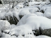 Lans en Vercors - 8 novembre 2009