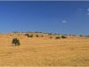 Vers le Mont Lozère et le Col de Finiels - 12 août 2009